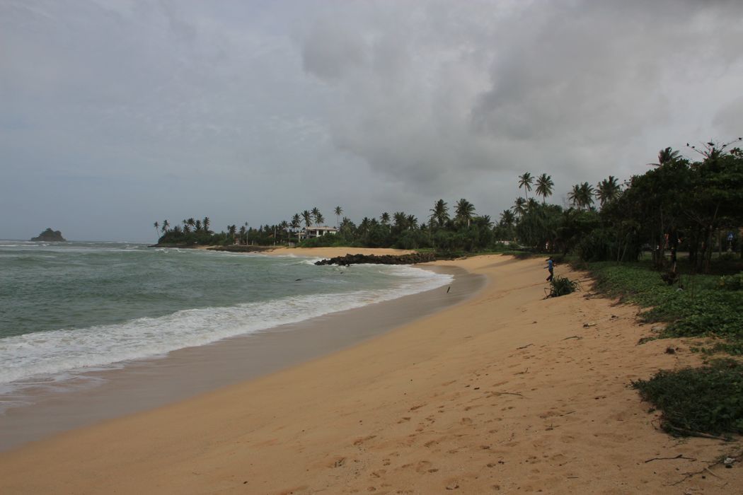 Midigama Midigama
