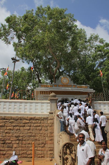 anuradhapura