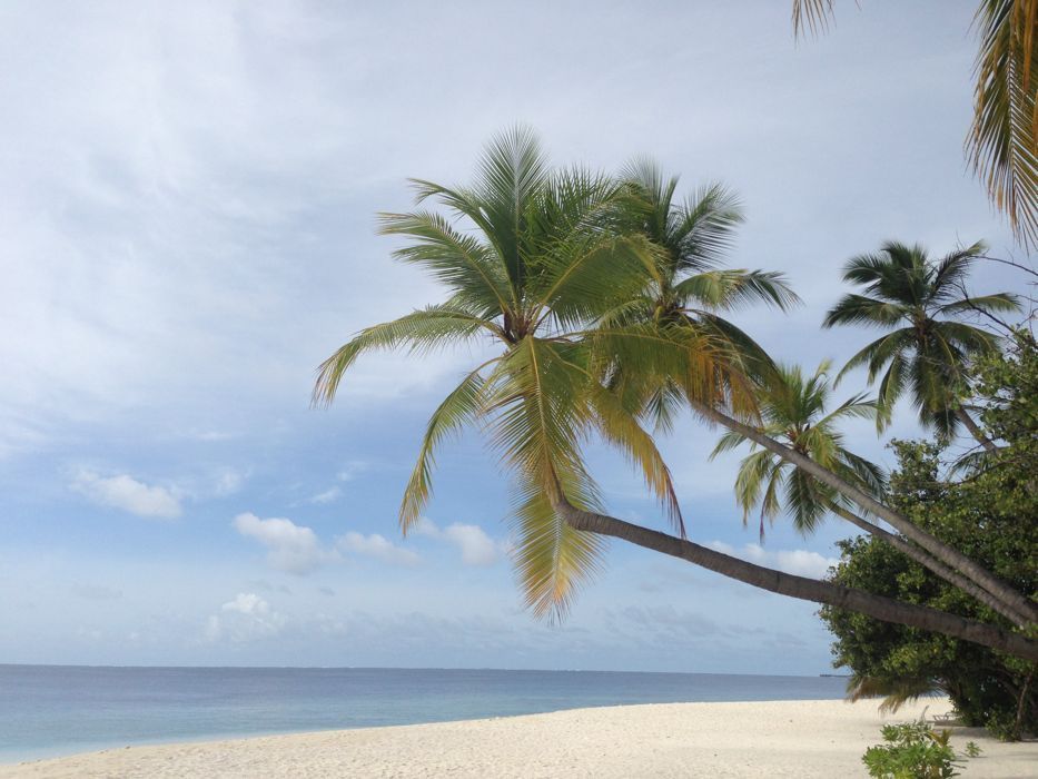 paseando en el diamonds thudufushi paseos en el diamonds thudufushi