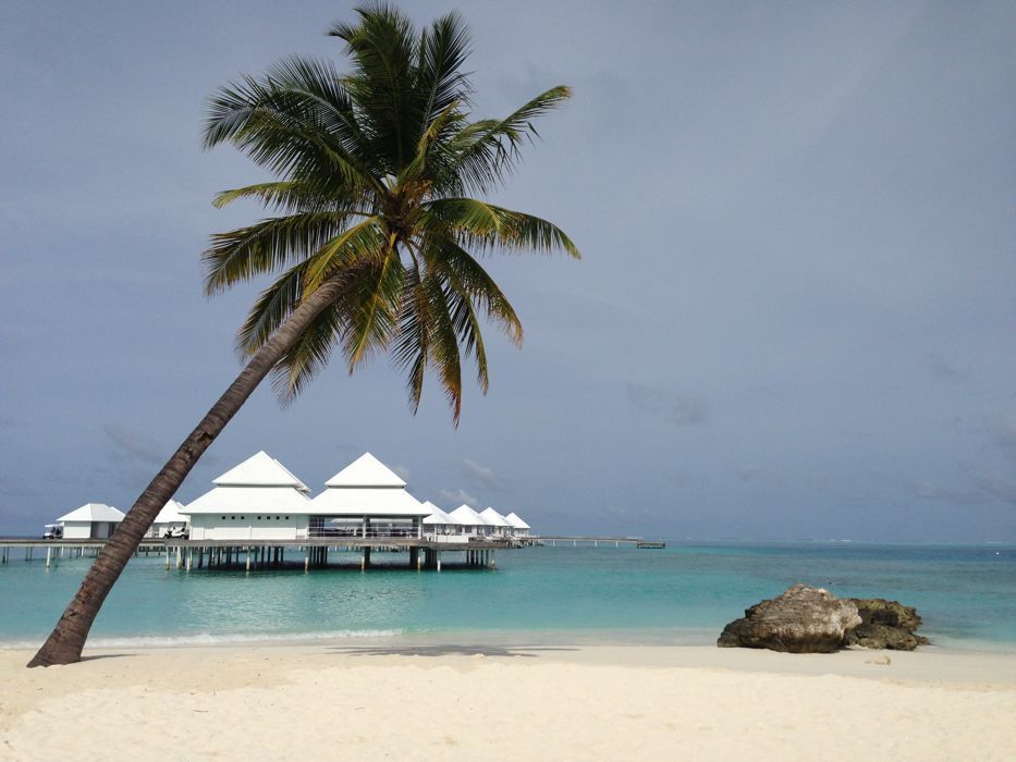 beach bungalow del diamonds thudufushi