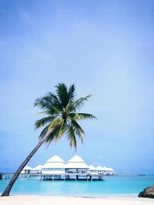 paseando en el diamonds thudufushi paseos en el diamonds thudufushi