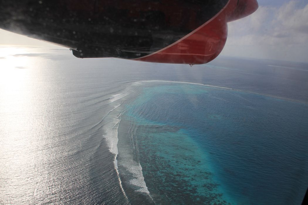 hidroavion del diamonds thudufushi a male hidroavion del diamonds thudufushi a male