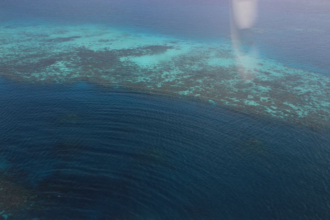 hidroavion del diamonds thudufushi a male hidroavion del diamonds thudufushi a male