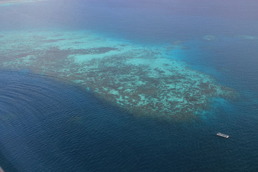 hidroavion del diamonds thudufushi a male hidroavion del diamonds thudufushi a male