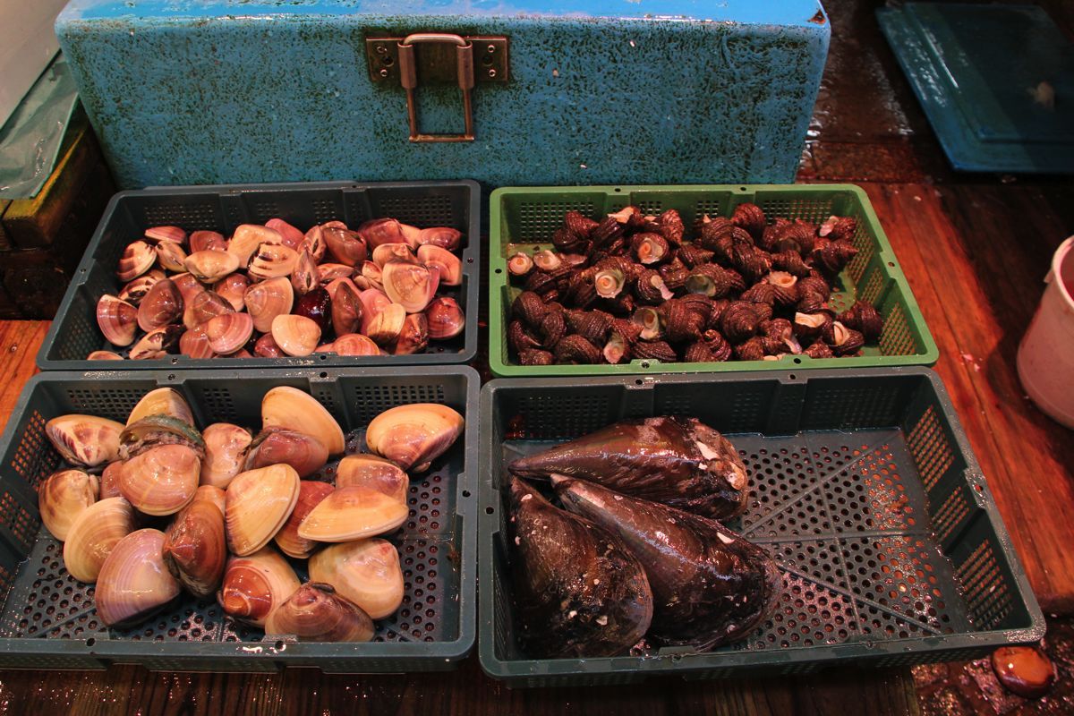 tsukiji tsukiji