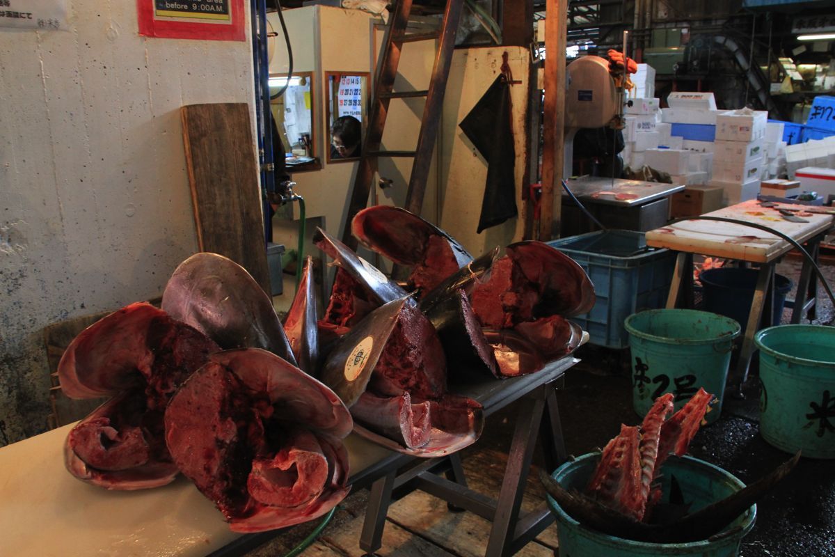 tsukiji tsukiji