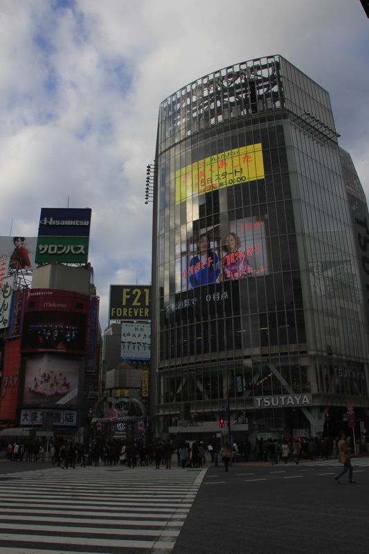 shibuya shibuya