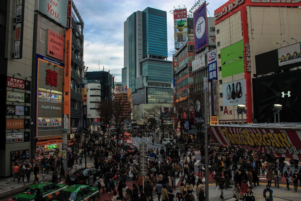 shibuya shibuya