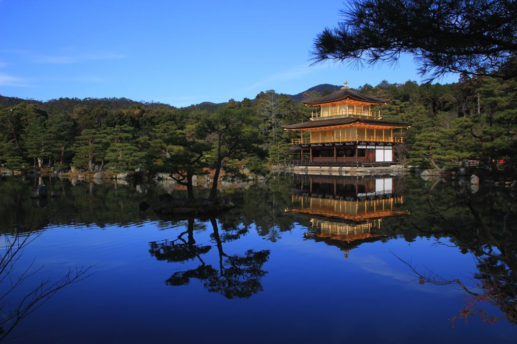 camino de kinkakuji camino de kinkakuji