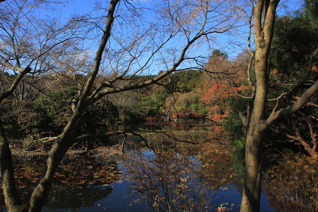templo ryoanji templo ryoanji