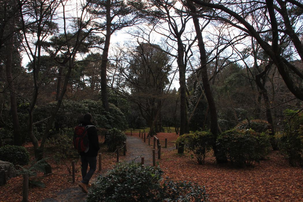 jardin zen del templo ryoanji jardin zen del templo ryoanji