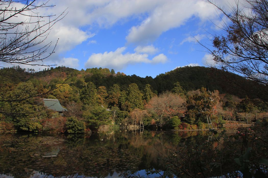 jardin zen del templo ryoanji jardin zen del templo ryoanji