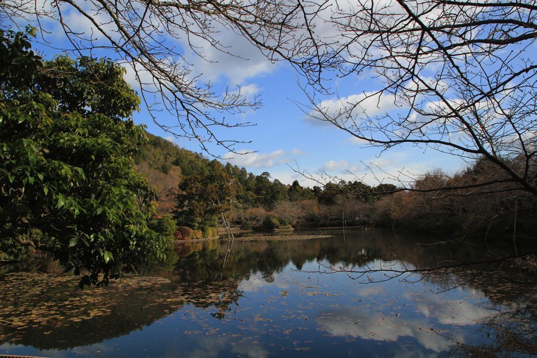 jardin zen del templo ryoanji jardin zen del templo ryoanji