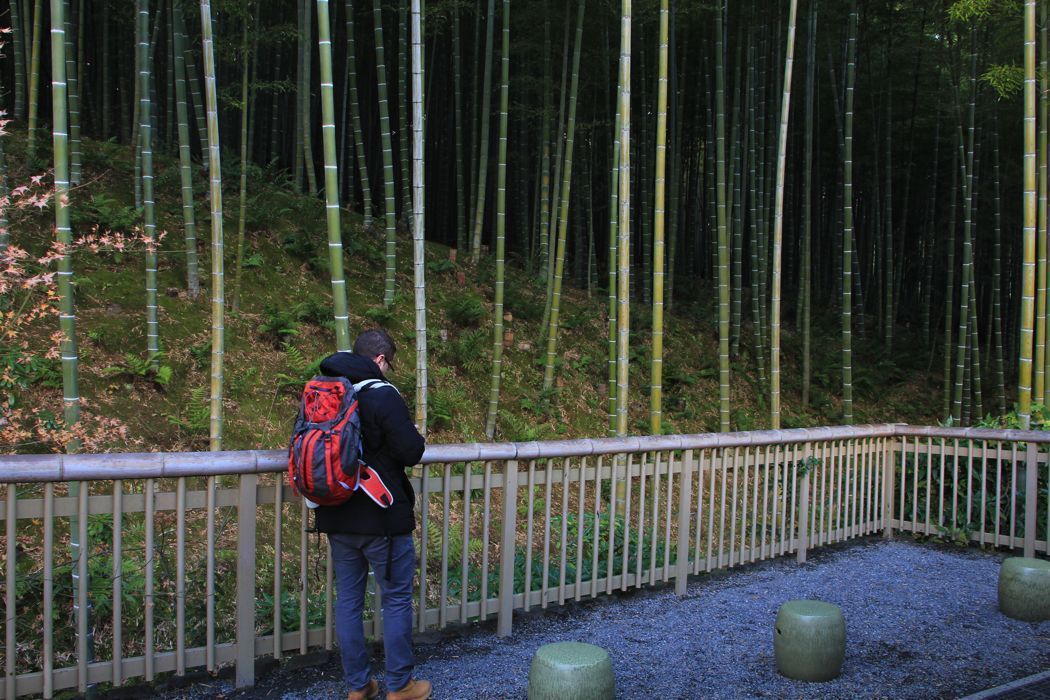 tenryu-ji tenryu-ji