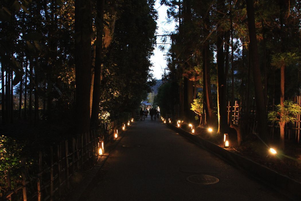 iluminacion en arashiyama iluminacion en arashiyama