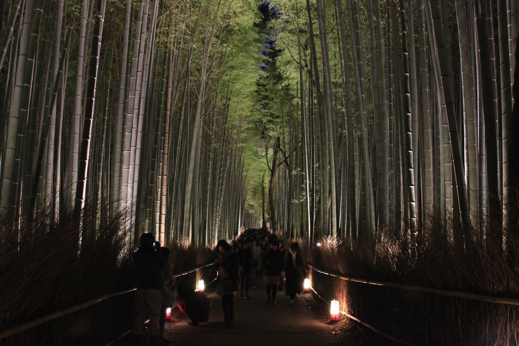bosque de bambu de arashiyama bosque de bambu de arashiyama