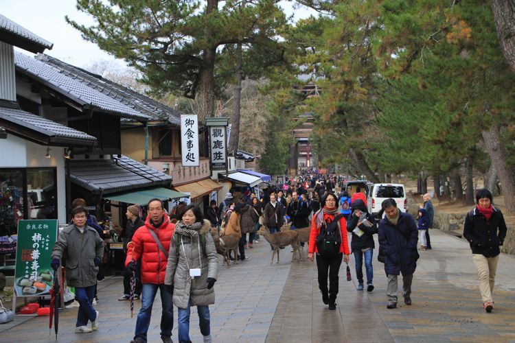 nara