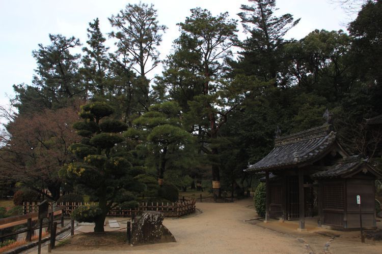 jardin koraku-en en okayama jardin koraku-en en okayama