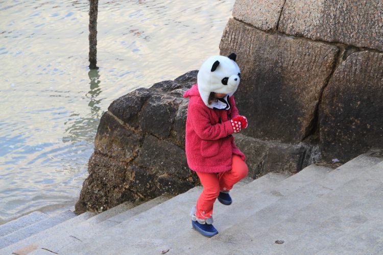 miyajima miyajima
