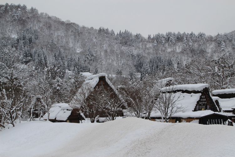 shirakawago shirakawago