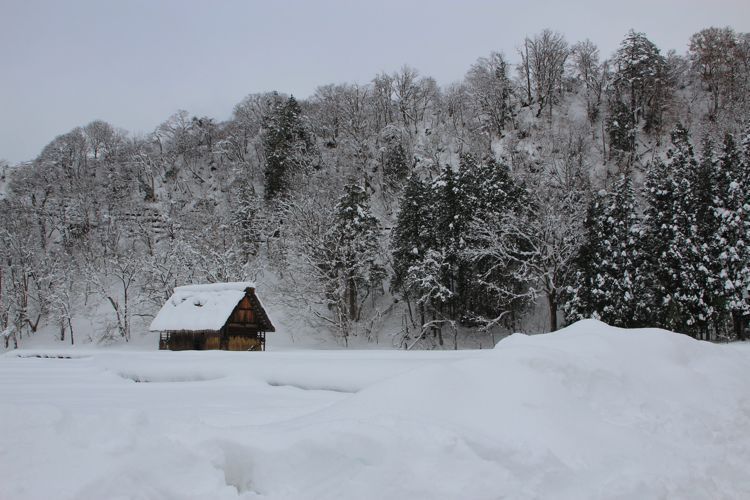 shirakawago shirakawago
