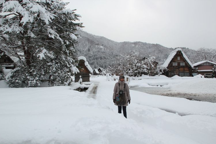 shirakawago shirakawago