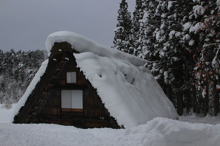 shirakawago shirakawago