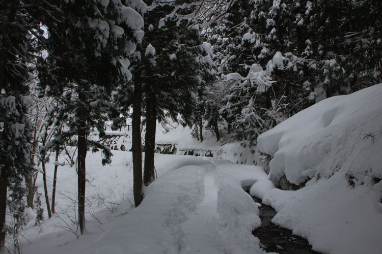 shirakawago shirakawago