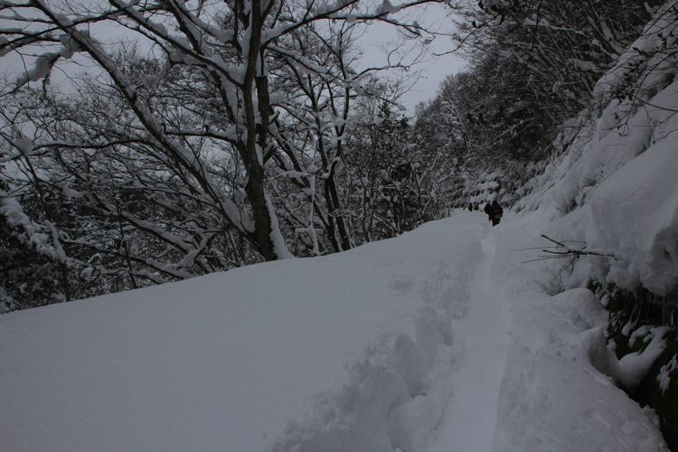 shirakawago shirakawago