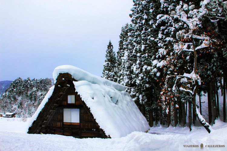 shirakawago shirakawago