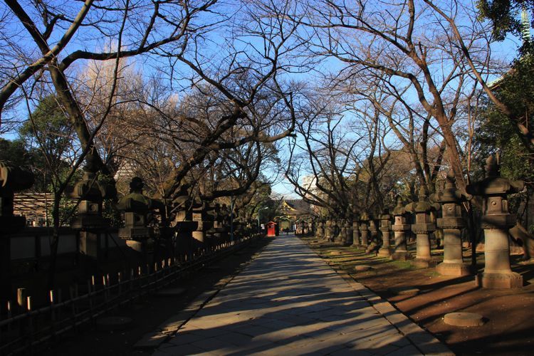 parque de ueno parque de ueno