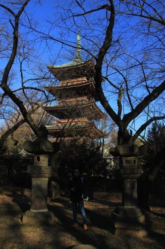 templo toshogu shrine templo toshogu shrine