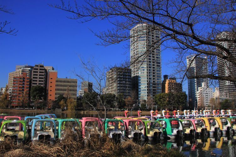 parque de ueno parque de ueno