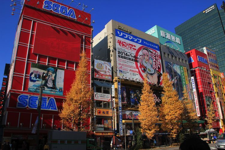 akihabara akihabara
