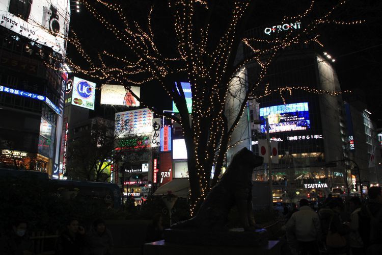 shibuya shibuya