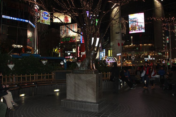 shibuya shibuya