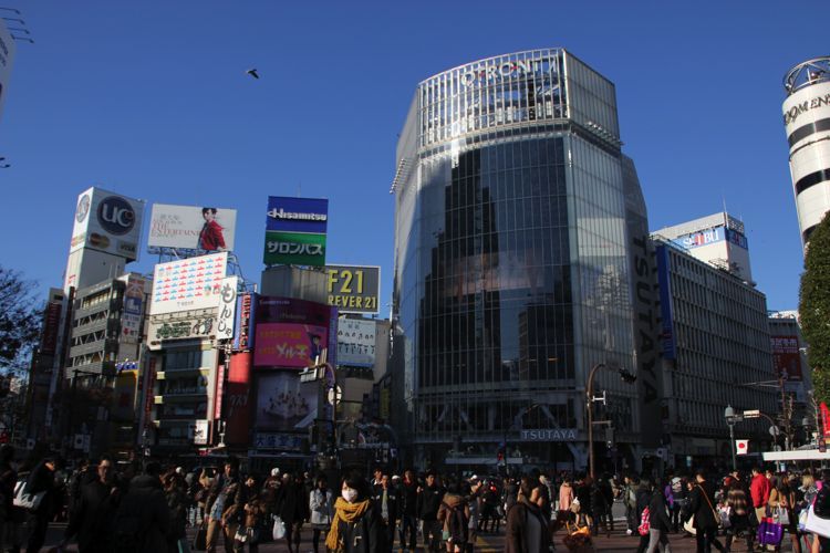 shibuya shibuya