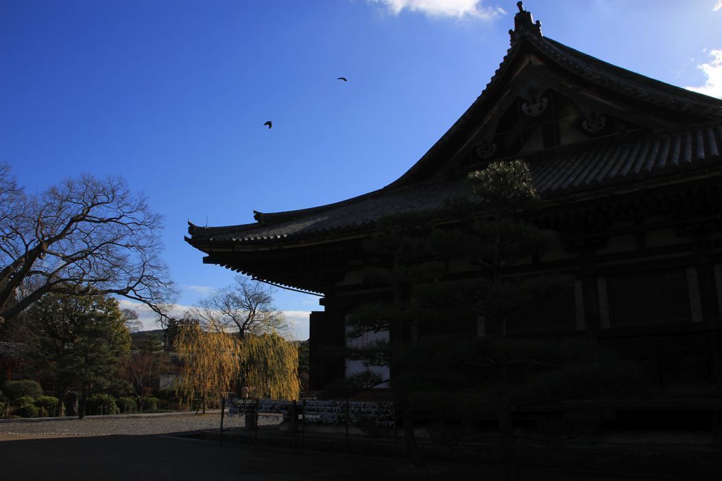 sanjuagendo