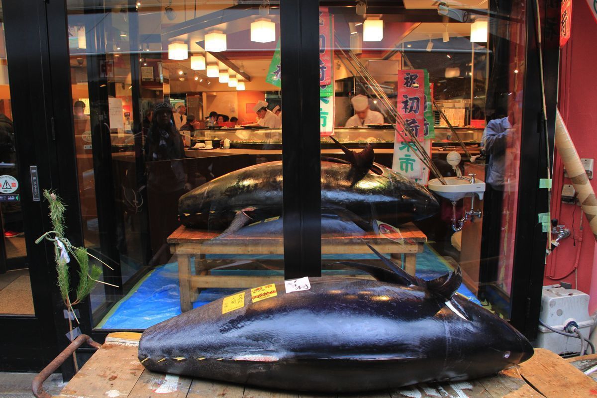 tsukiji tsukiji