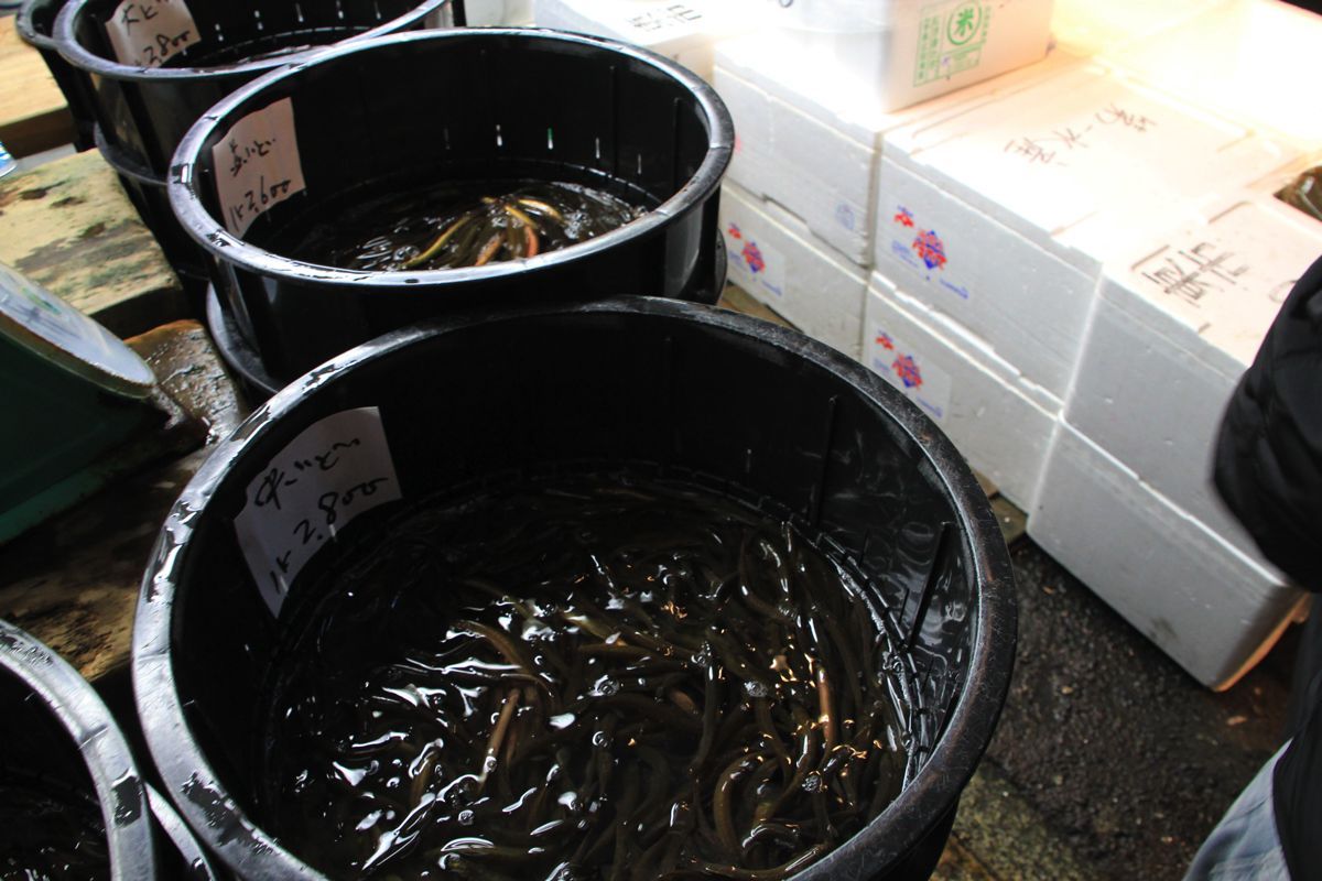 tsukiji tsukiji