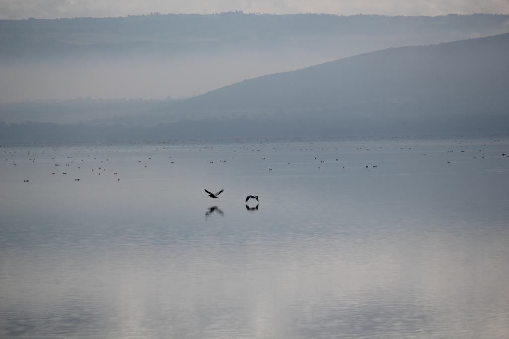lago nakuru en Kenia lago nakuru en Kenia