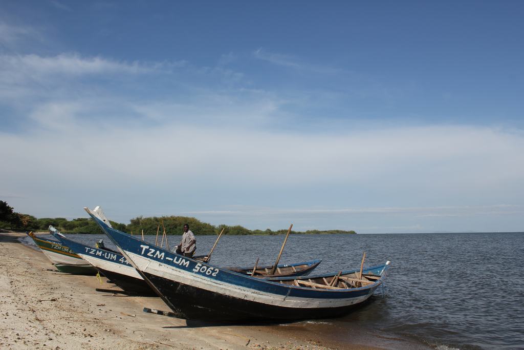 lago victoria en tanzania lago victoria en tanzania