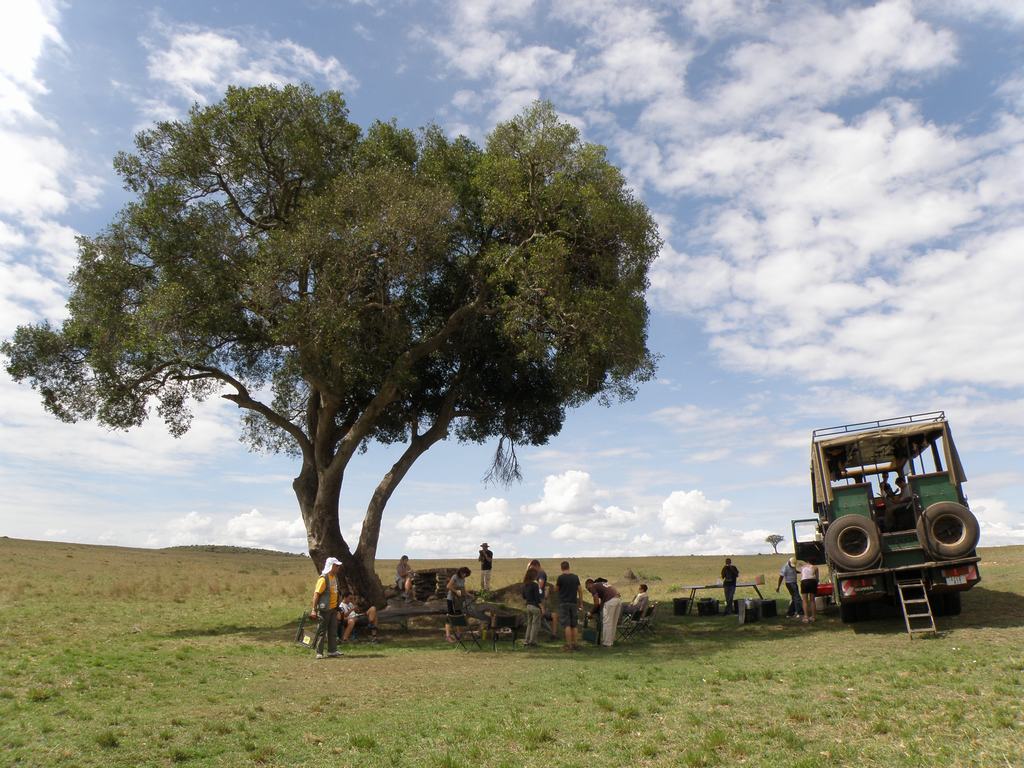 masai mara en kenia masai mara en kenia