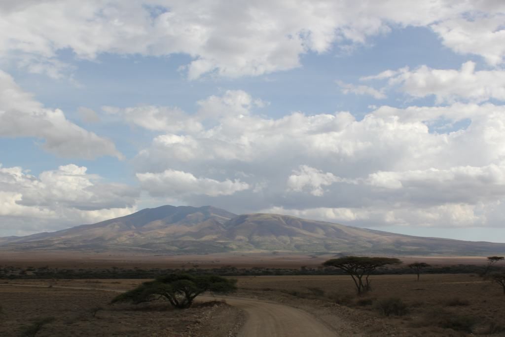 Ngorongoro en un safari en tanzania Ngorongoro en un safari en tanzania