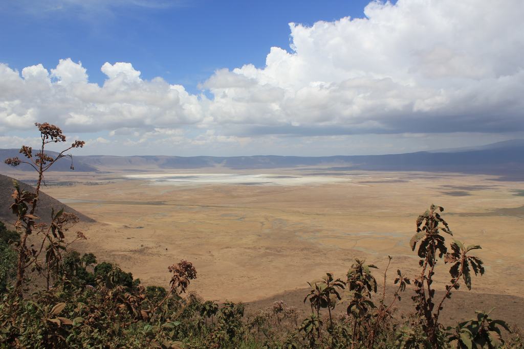 cráter del ngorongoro en un safari en africa