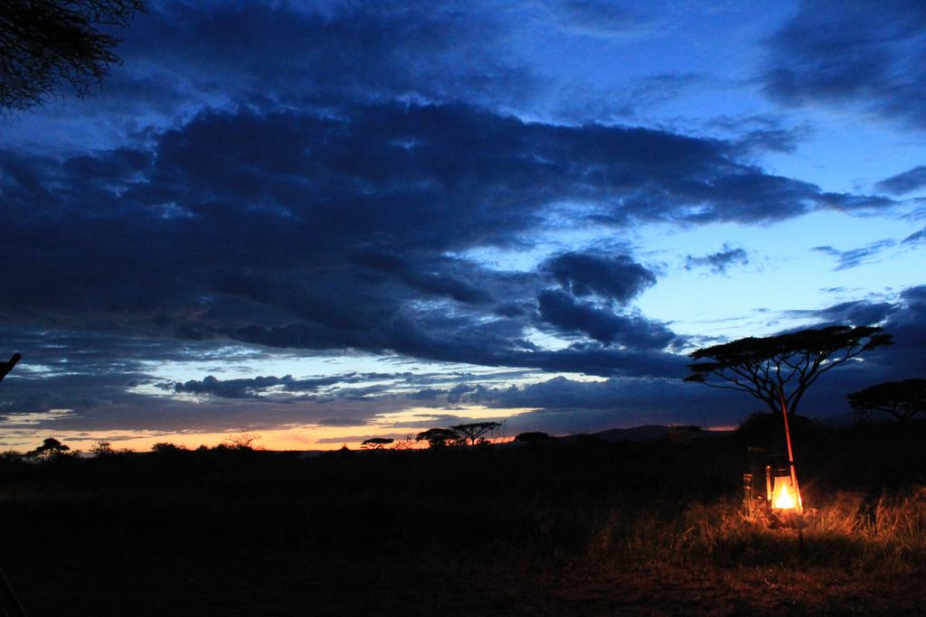 parque nacional serengeti en tanzania parque nacional serengeti en tanzania