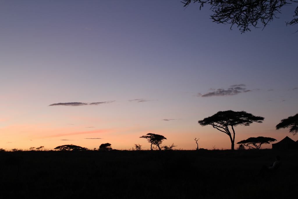 parque nacional serengeti en tanzania parque nacional serengeti en tanzania
