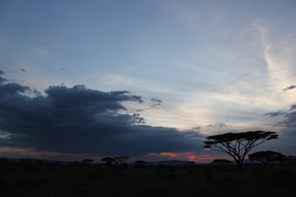 el serengeti en tanzania el serengeti en tanzania