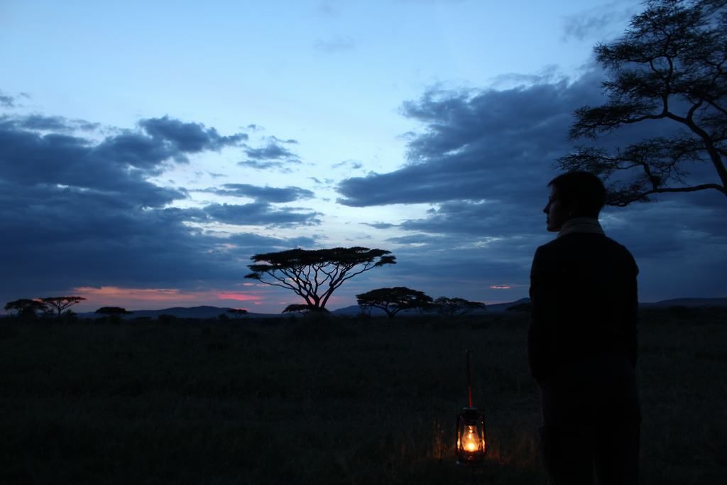 el serengeti en tanzania el serengeti en tanzania