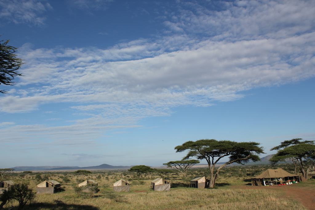 parque nacional serengeti en tanzania parque nacional serengeti en tanzania